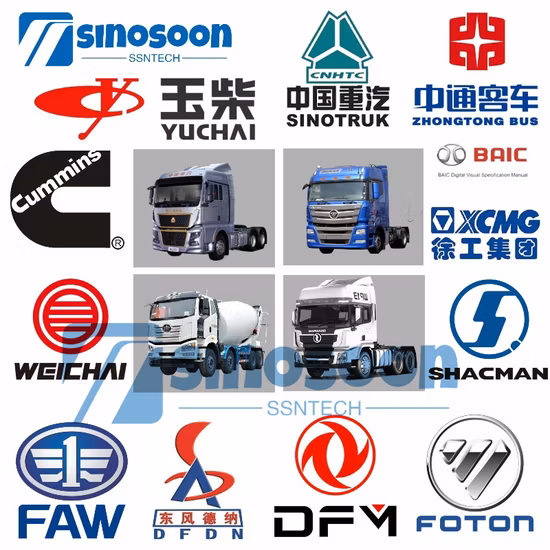 HOWO FAW Shacman Foton Auman Dongfeng Cummins Weichai Engine Truck Spare Parts