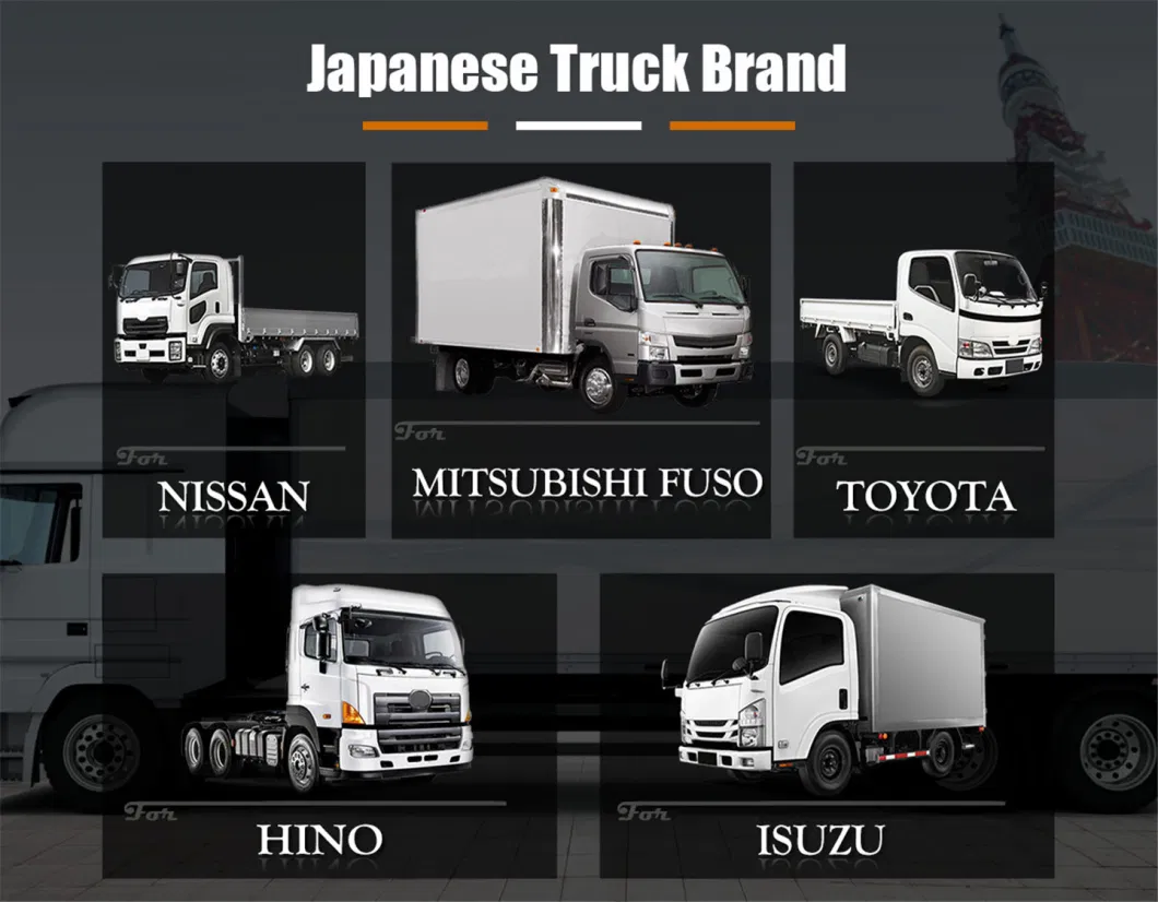 Engine / Brake / Chassis/ Body /Transmission/Electrical/Truck Spare Parts for Mercedes-Benz/Volvo/Man/Scania/Iveco/ Isuzu/ Mitsubishi/ Hino/Hyundai/Toyota